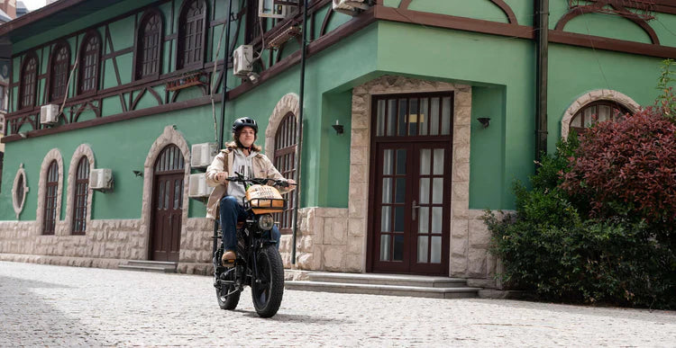 Adult Electric Bike