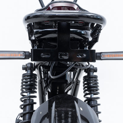 EVERCROSS EK30 PRO Adult Electric Bicycle