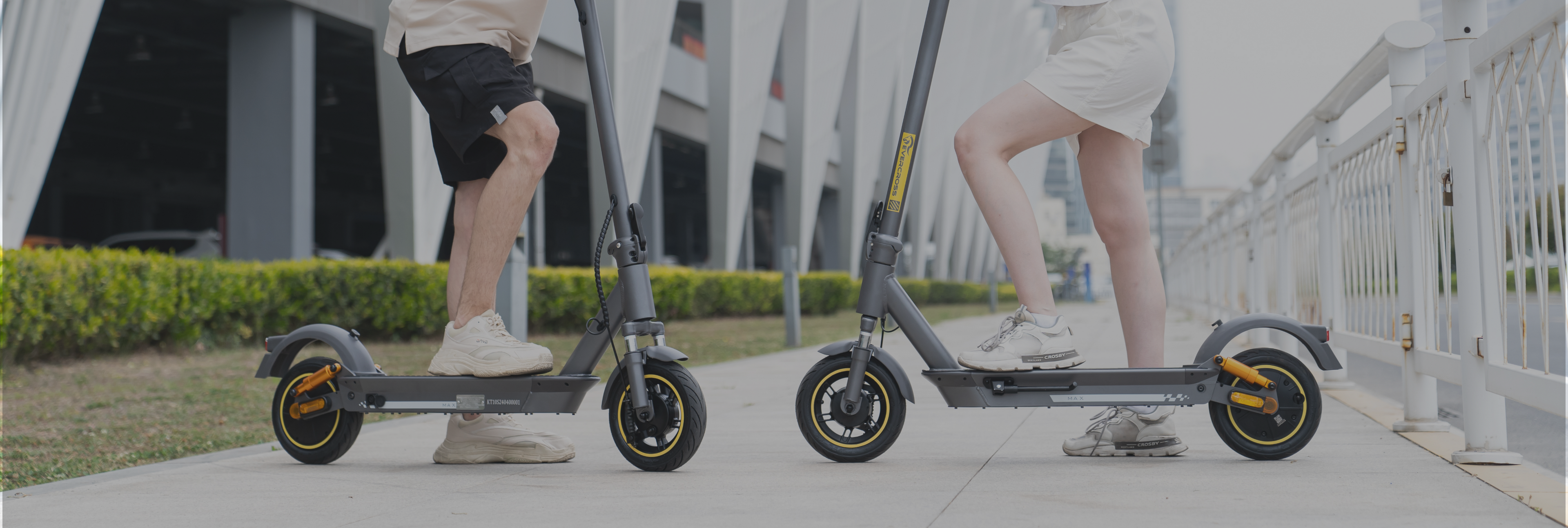 banner-image-template--18954155851930__page_banner_WYJcdG