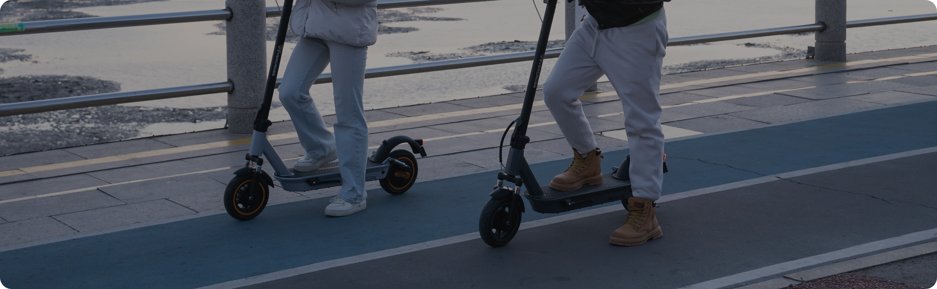 banner-image-template--18954155851930__animated_image_banner_RijV4Y